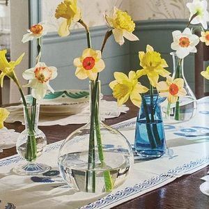 Meet your Posher, Molly